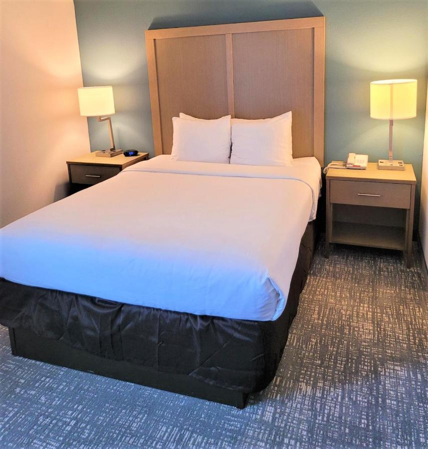 Comfort Inn & Suites Alexandria West エクステリア 写真